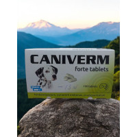 Caniverm forte tabletka