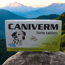 Caniverm forte tabletka