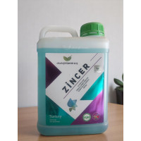 Zincer 