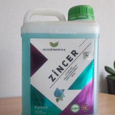 Zincer 