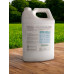 Phosphoric acid 85%