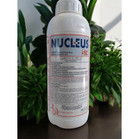 Nucleus 5 EC