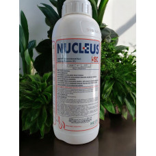 Nucleus 5 EC
