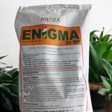 Enigma 20WP