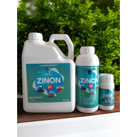 Zinon SC