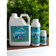 Zinon SC