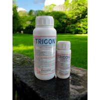 Menta Trigon