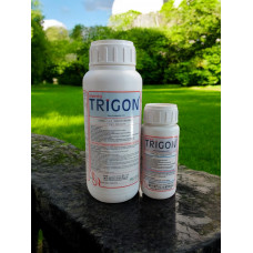 Menta Trigon