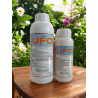 Menta Ufo