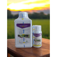 Deltayam 2,5% EC