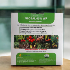 Global 65% WP