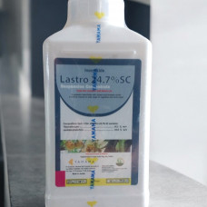 Lastro 24.7 SC
