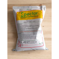 Spector