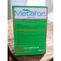 Menta Metafor